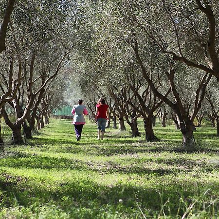 Agriturismo A'Sena-Runcatini Ciminà エクステリア 写真